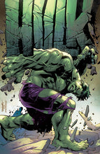 Load image into Gallery viewer, HULK #2 UNKNOWN COMICS STEPHEN SEGOVIA EXCLUSIVE VIRGIN VAR (12/15/2021)