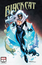 Load image into Gallery viewer, BLACK CAT ANNUAL #1 UNKNOWN COMICS STEPHEN SEGOVIA EXCLUSIVE VAR INFD (06/30/2021)