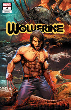 Load image into Gallery viewer, WOLVERINE #4 UNKNOWN COMICS JAY ANACLETO EXCLUSIVE SECRET VAR (08/19/2020)