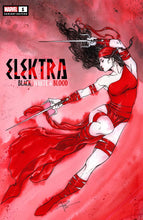 Load image into Gallery viewer, ELEKTRA BLACK WHITE BLOOD #1 (OF 4) UNKNOWN COMICS SABINE RICH EXCLUSIVE VAR (12/29/2021)
