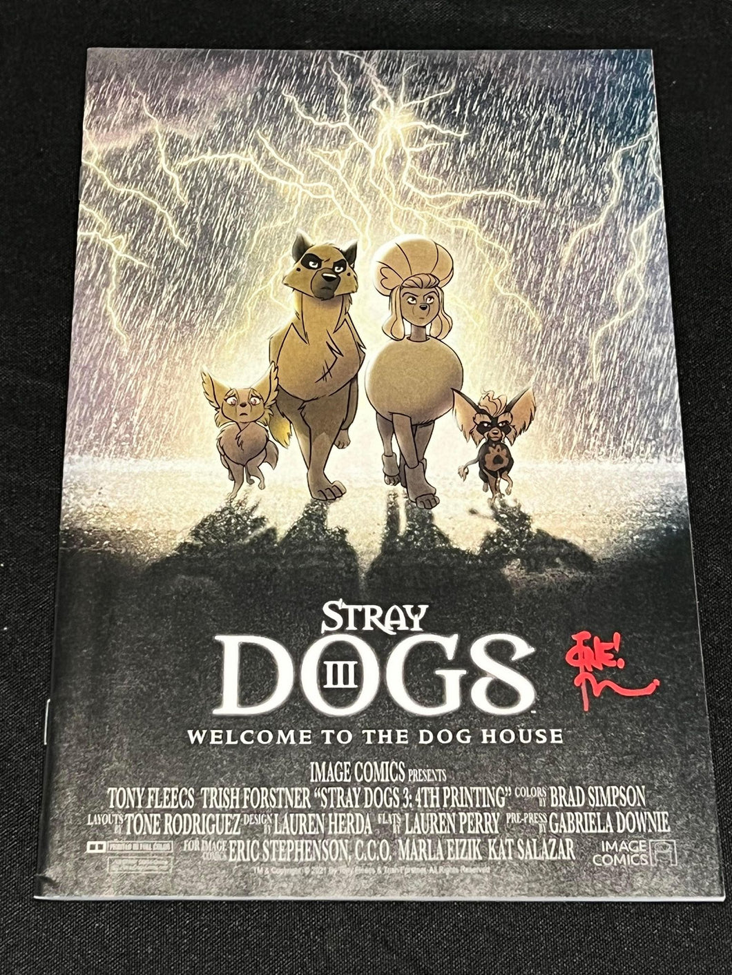 Stray Dogs Welcome To The Dog House