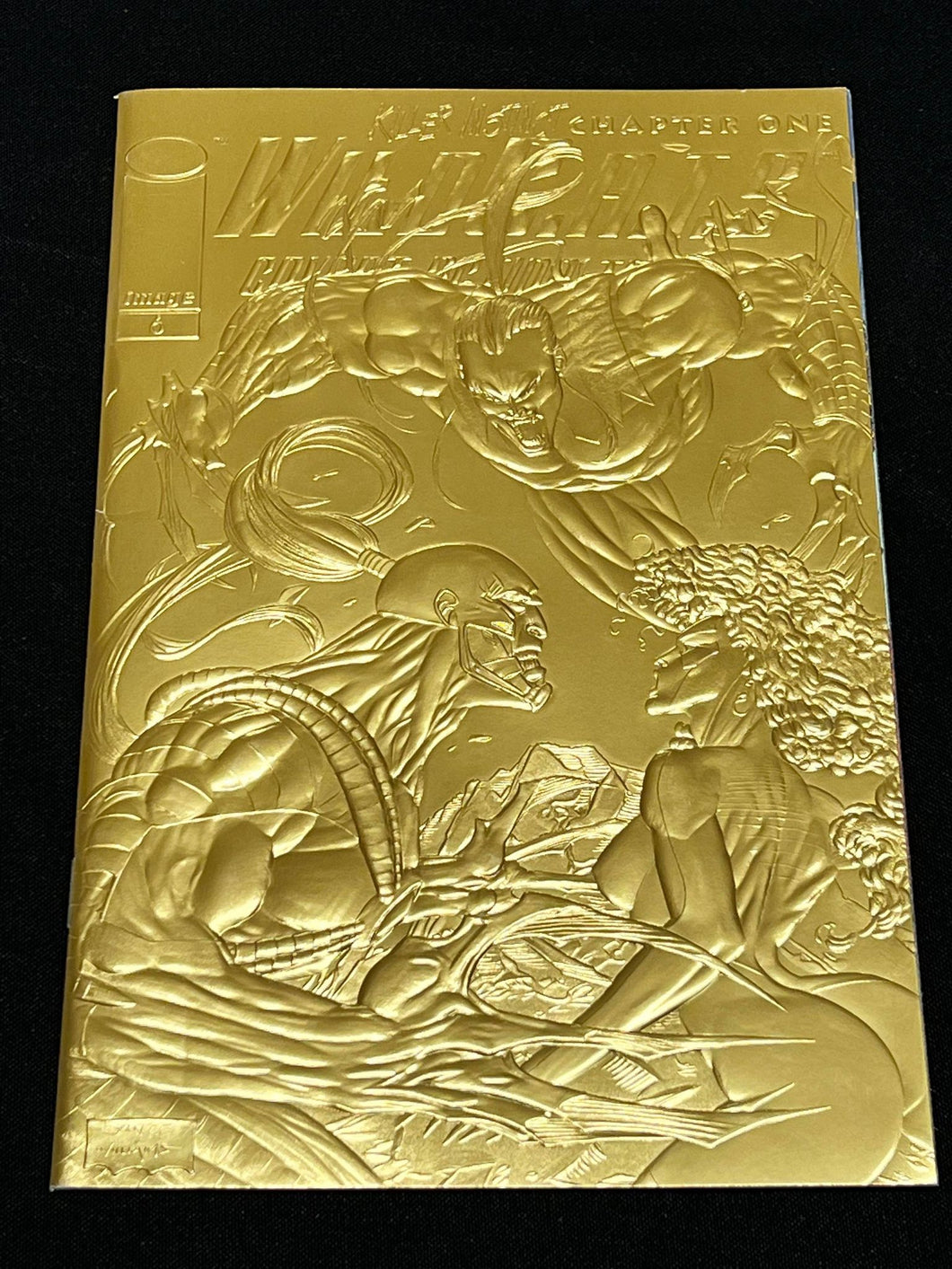 Wildcats 6 Gold Embossed Cover