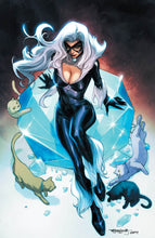Load image into Gallery viewer, BLACK CAT ANNUAL #1 UNKNOWN COMICS STEPHEN SEGOVIA EXCLUSIVE VIRGIN VAR INFD (06/30/2021)

